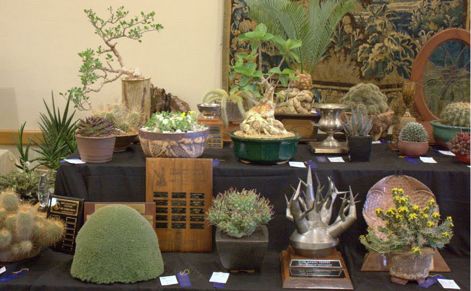 Trophy table with winning plants