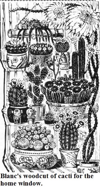 A woodcut of potted cacti