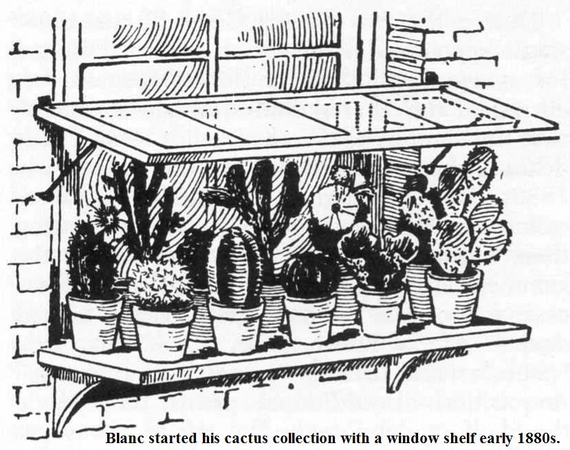 Albert Blanc's window shelf cactus garden in the 1880s