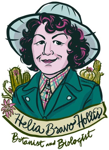 An illustration of Helia Bravo-Hollis produced for the Cactus and Succulent Journal article on her life.