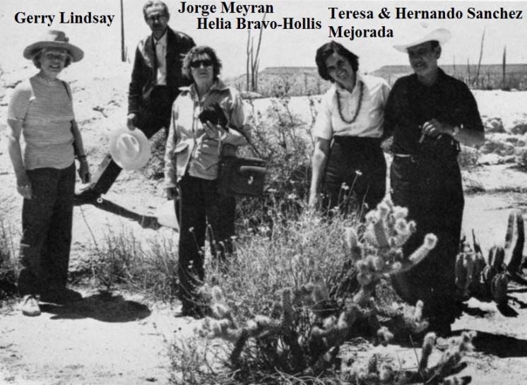 Helia Bravo-Hollis in the desert with succulent friends