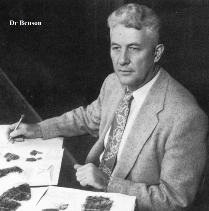 Lyman Benson working on books and papers (possibly herbarium sheets?)